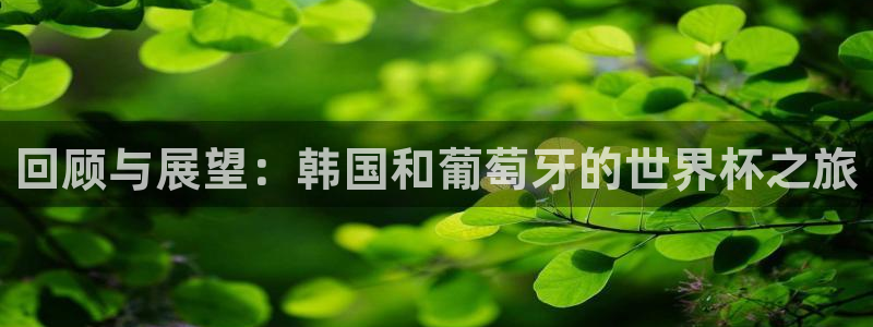 2026世界杯亚洲区预选赛赛程：回顾与展望：韩国和葡萄牙的世界杯之旅
