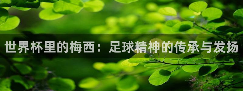 世界杯今日赛程直播：世界杯里的梅西：足球精神的传承与发扬