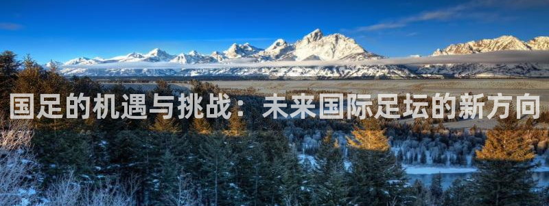 世界杯亚洲区预选赛赛程表：国足的机遇与挑战：未来国际足坛的新方向