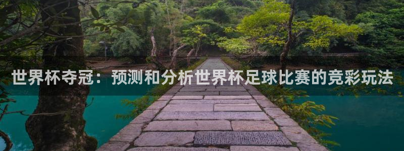 世俱杯直播：世界杯夺冠：预测和分析世界杯足球比赛的竞彩玩法