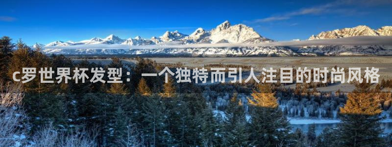 世界杯比赛直播：c罗世界杯发型：一个独特而引人注目的时尚风格