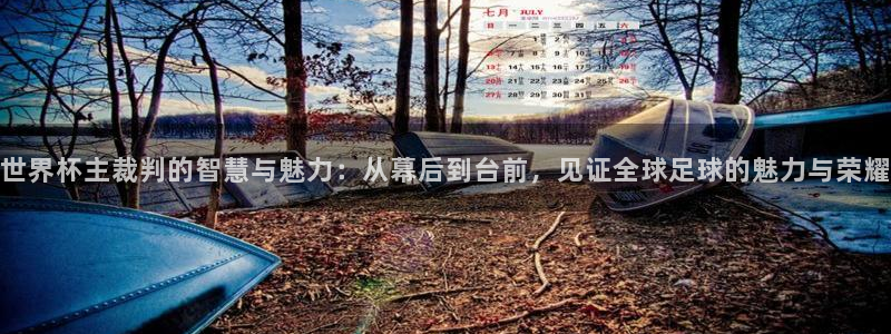 2026世界杯32强对阵图表：世界杯主裁判的智慧与魅力：从幕后到台前，见证全球足球的魅力与荣耀
