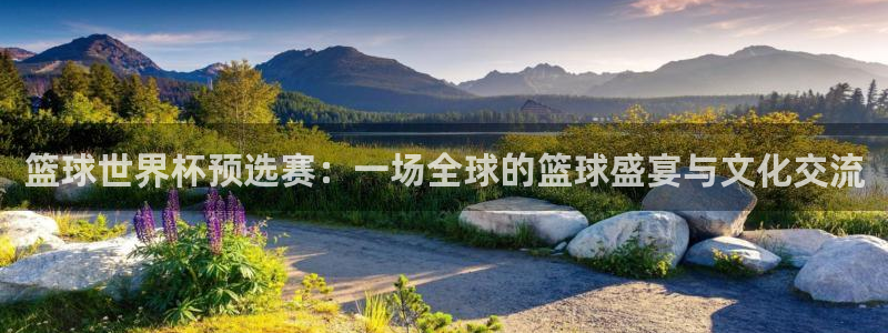 欧洲世预赛赛程表：篮球世界杯预选赛：一场全球的篮球盛宴与文化交流
