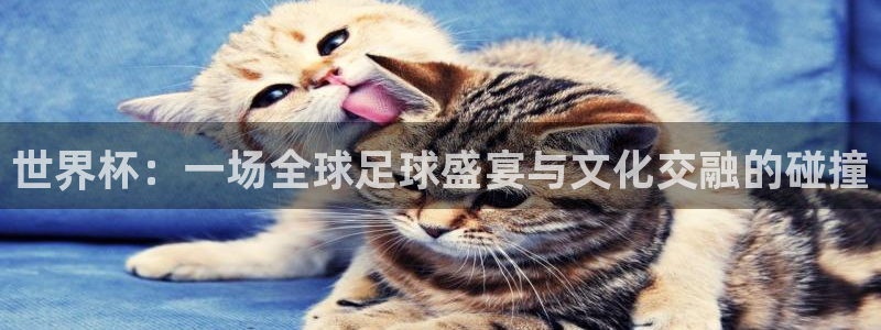 澳门世界杯直播：世界杯：一场全球足球盛宴与文化交融的碰撞