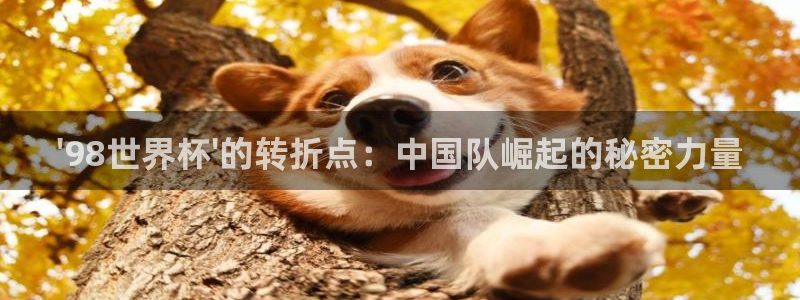世界杯欧洲区预选赛赛程：\'98世界杯\'的转折点：中国队崛起的秘密力量