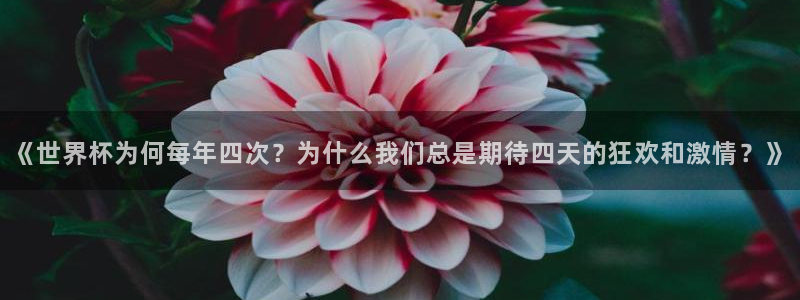 联赛杯直播：《世界杯为何每年四次？为什么我们总是期待四天的狂欢和激情？》